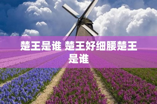 楚王是谁 楚王好细腰楚王是谁
