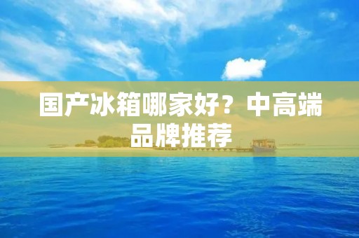 国产冰箱哪家好?中高端品牌推荐