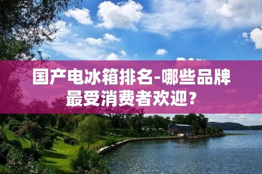 国产电冰箱排名-哪些品牌最受消费者欢迎?
