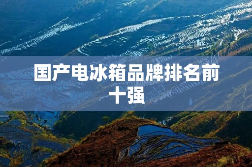 国产电冰箱品牌排名前十强