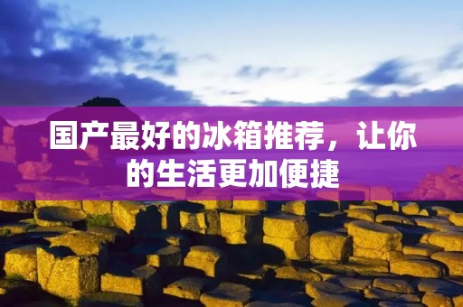 国产最好的冰箱推荐,让你的生活更加便捷