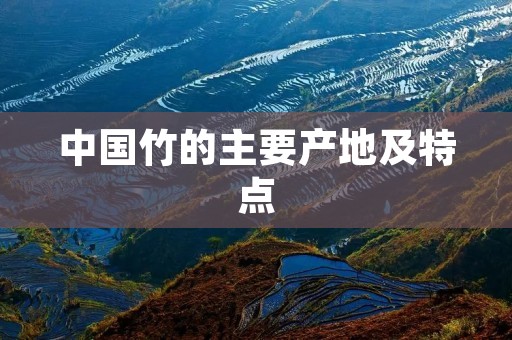 中国竹的主要产地及特点