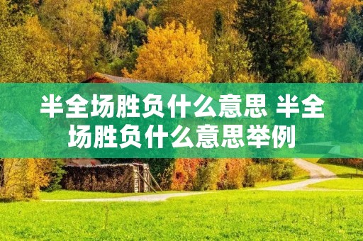 半全场胜负什么意思 半全场胜负什么意思举例
