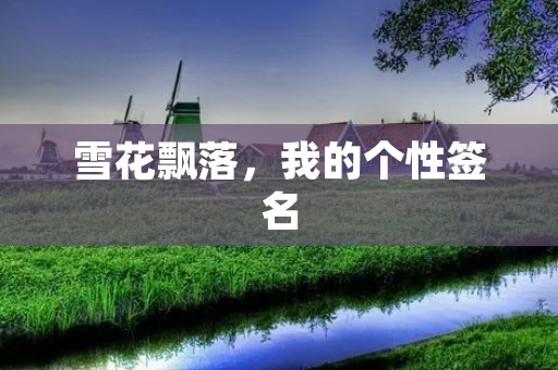 雪花飘落,我的个性签名
