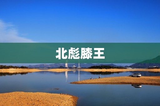 北彪膝王：养护膝关节的新选择