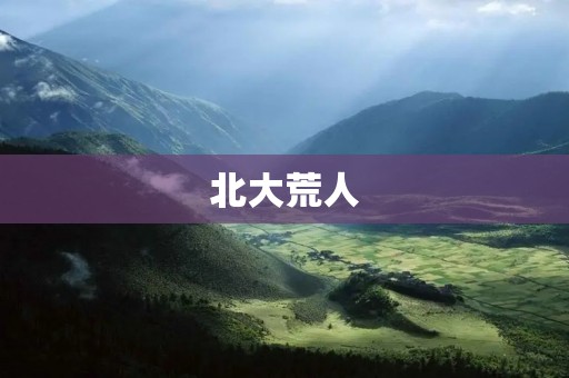 北大荒人：用汗水和智慧铸就丰收的团队