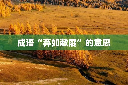 成语“弃如敝屣”的意思