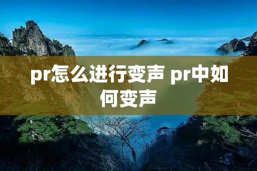pr怎么进行变声 pr中如何变声 pr怎么进行变声 pr中如何变声