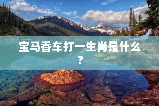 宝马香车打一生肖是什么?