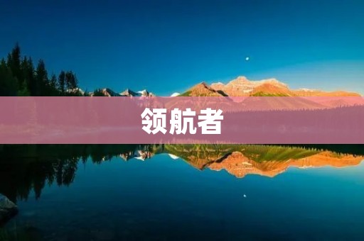 领航者:成为行业中的领袖 领航者:成为行业中的领袖