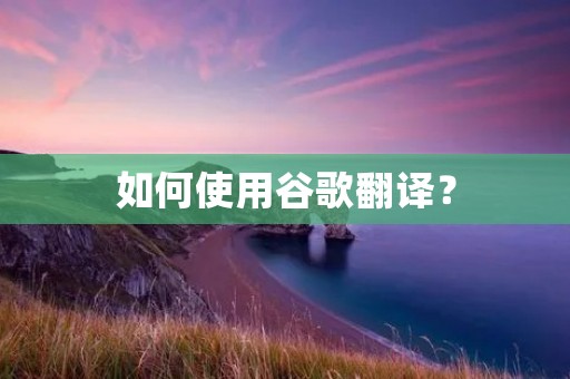 如何使用谷歌翻译? 如何使用谷歌翻译?