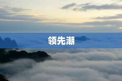 领先潮：时代变革下的创新引领