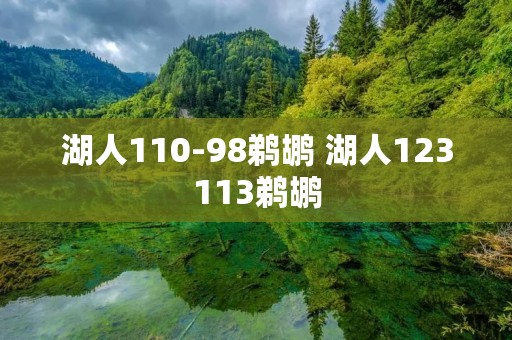 湖人110-98鹈鹕 湖人123113鹈鹕