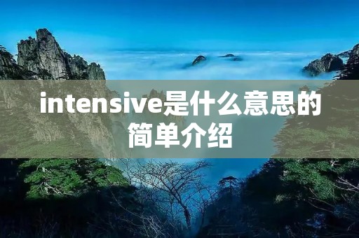 intensive是什么意思的简单介绍