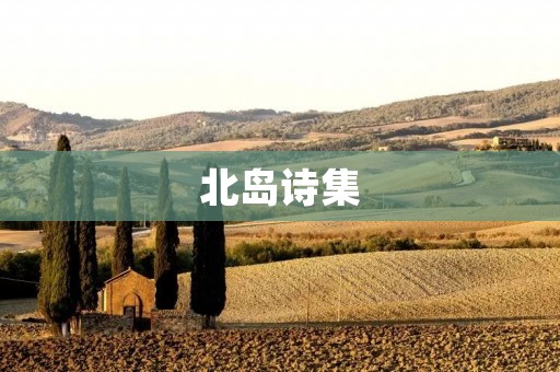 北岛诗集：流浪的灵魂与坚定的思想