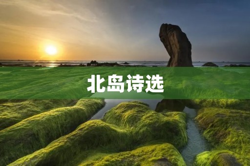 北岛诗选：寻找灵魂的旅程