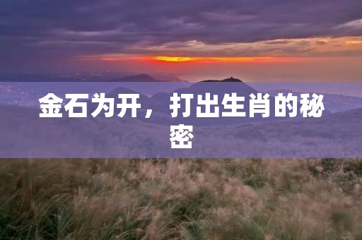 金石为开,打出生肖的秘密