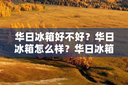 华日冰箱好不好？华日冰箱怎么样？华日冰箱值得购买吗？