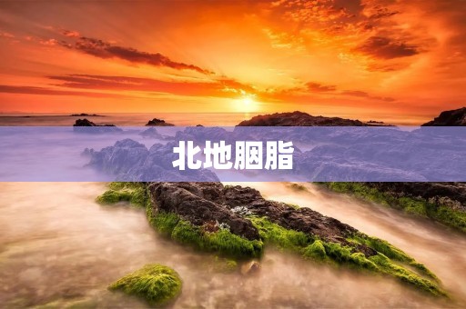 北地胭脂:传统文化中的珍品 北地胭脂:传统文化中的珍品