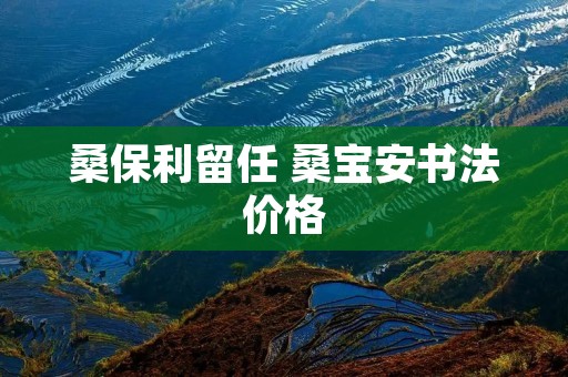 桑保利留任 桑宝安书法价格