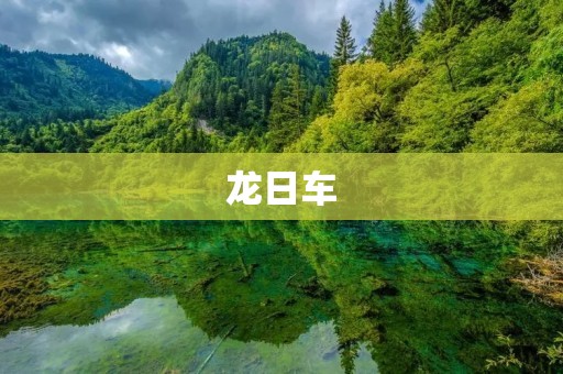 龙日车:中国汽车品牌的崛起 龙日车:中国汽车品牌的崛起