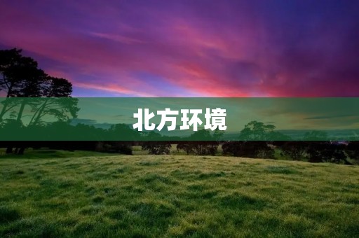 北方环境：如何应对严峻的自然条件？