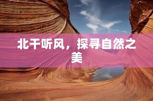 北干听风，探寻自然之美