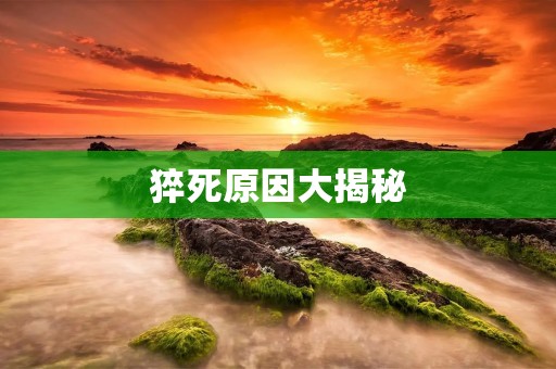 猝死原因大揭秘：从生活习惯到疾病，都可能成为致命因素