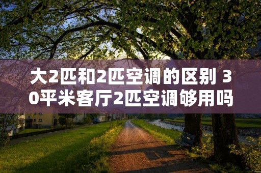 大2匹和2匹空调的区别 30平米客厅2匹空调够用吗 大2匹和2匹空调的区别 30平米客厅2匹空调够用吗