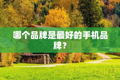 哪个品牌是最好的手机品牌?