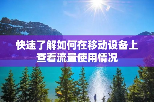 快速了解如何在移动设备上查看流量使用情况 快速了解如何在移动设备上查看流量使用情况