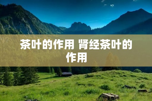 茶叶的作用 肾经茶叶的作用 茶叶的作用 肾经茶叶的作用
