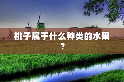 桃子属于什么种类的水果?