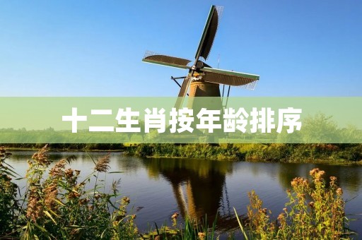 十二生肖按年龄排序