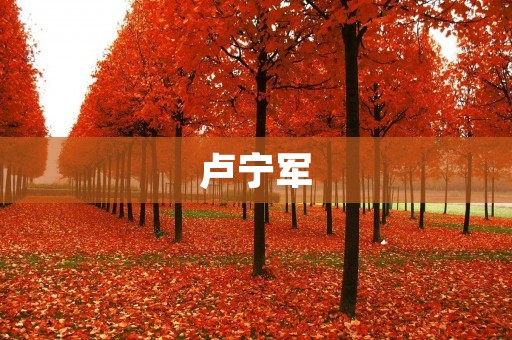 卢宁军:陕西省政协副主席,全国政协委员,积极推动陕西经济社会发展 卢宁军:陕西省政协副主席,全国政协委员,积极推动陕西经济社会发展