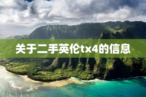 关于二手英伦tx4的信息