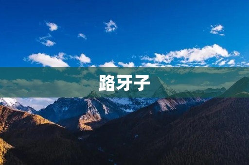 路牙子：城市道路安全的重要组成部分