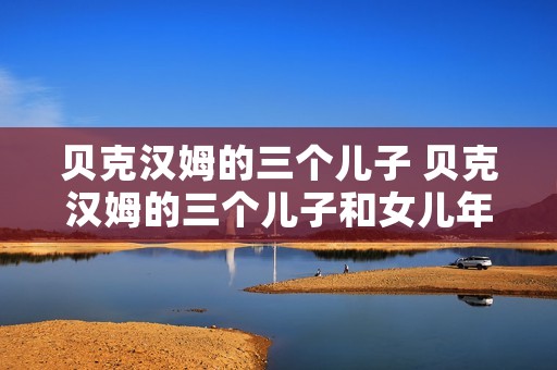 贝克汉姆的三个儿子 贝克汉姆的三个儿子和女儿年龄