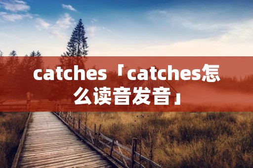 catches「catches怎么读音发音」 catches「catches怎么读音发音」