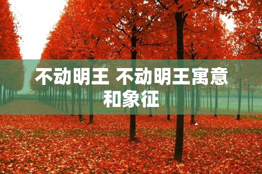 不动明王 不动明王寓意和象征