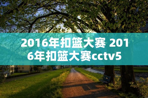 2016年扣篮大赛 2016年扣篮大赛cctv5