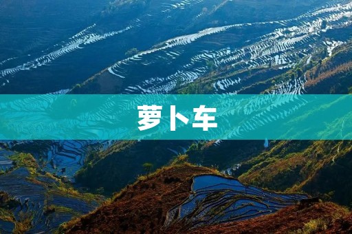 萝卜车：让城市更绿色的移动选择