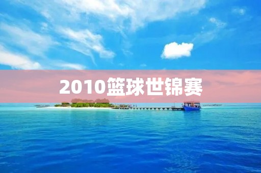 2010篮球世锦赛:中国男篮的挑战与机遇 2010篮球世锦赛:中国男篮的挑战与机遇