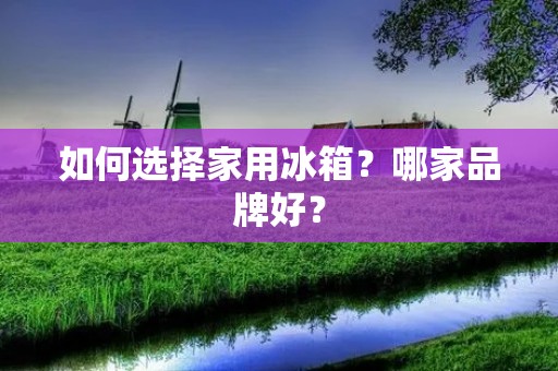 如何选择家用冰箱?哪家品牌好? 如何选择家用冰箱?哪家品牌好?