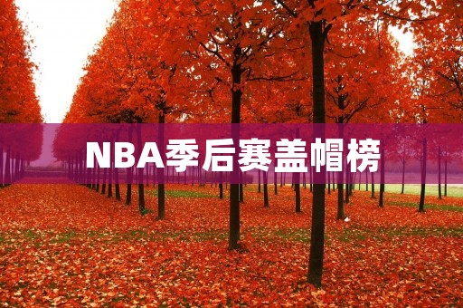 NBA季后赛盖帽榜：谁是本赛季的盖帽王？
