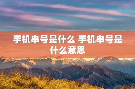 手机串号是什么 手机串号是什么意思 手机串号是什么 手机串号是什么意思