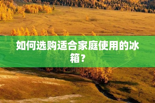 如何选购适合家庭使用的冰箱? 如何选购适合家庭使用的冰箱?