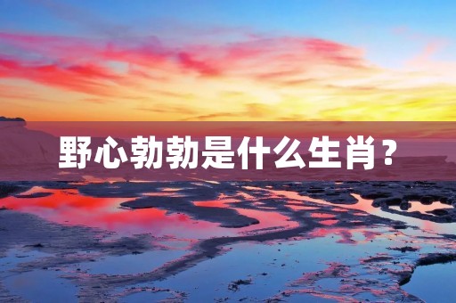 野心勃勃是什么生肖？