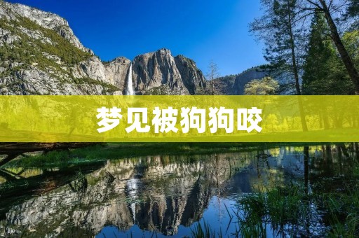 梦见被狗狗咬：解梦与心理分析