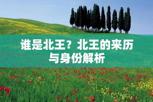 谁是北王?北王的来历与身份解析 谁是北王?北王的来历与身份解析
